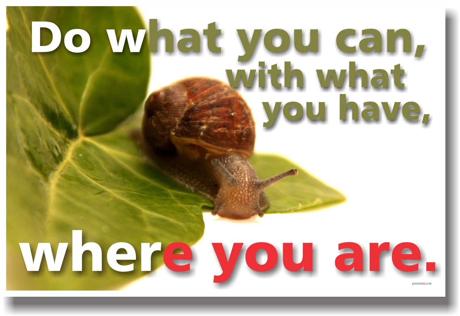 NEW POSTER - Do What You Can with What You Have... School Classroom Motivational