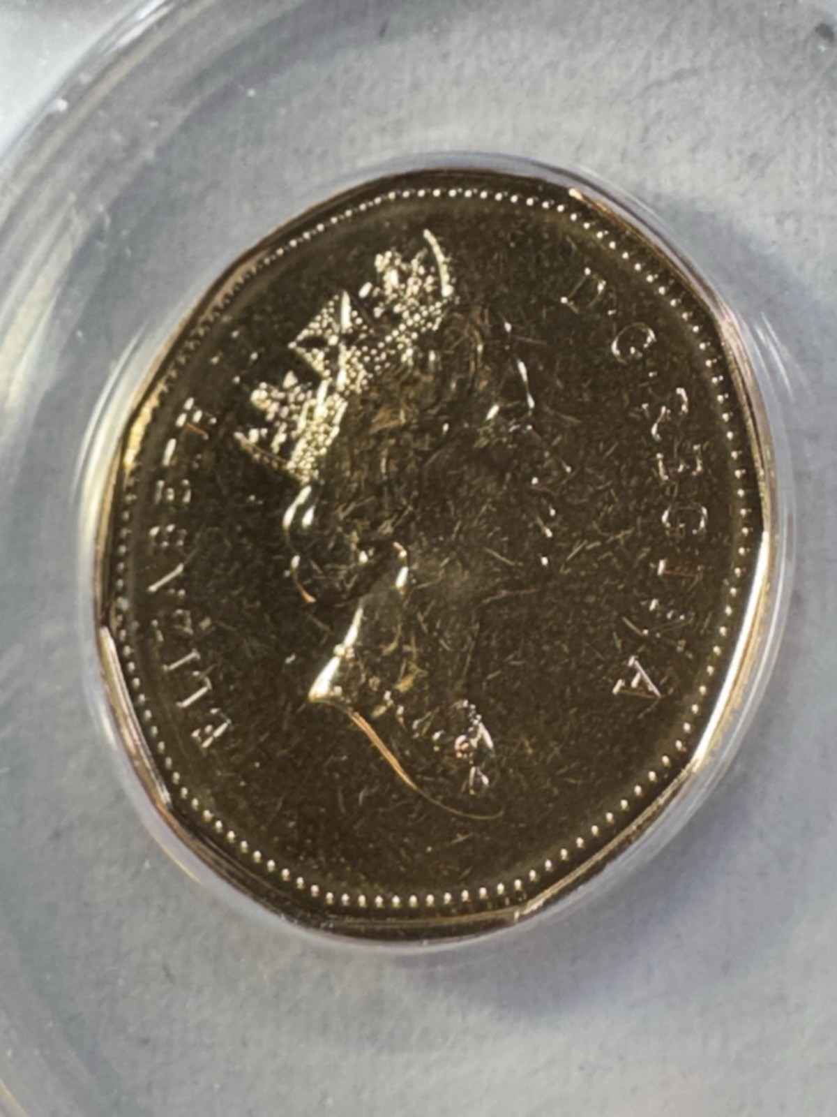 1999 Canada 1 Dollar Loonie Graded MS 67 by ANACS
