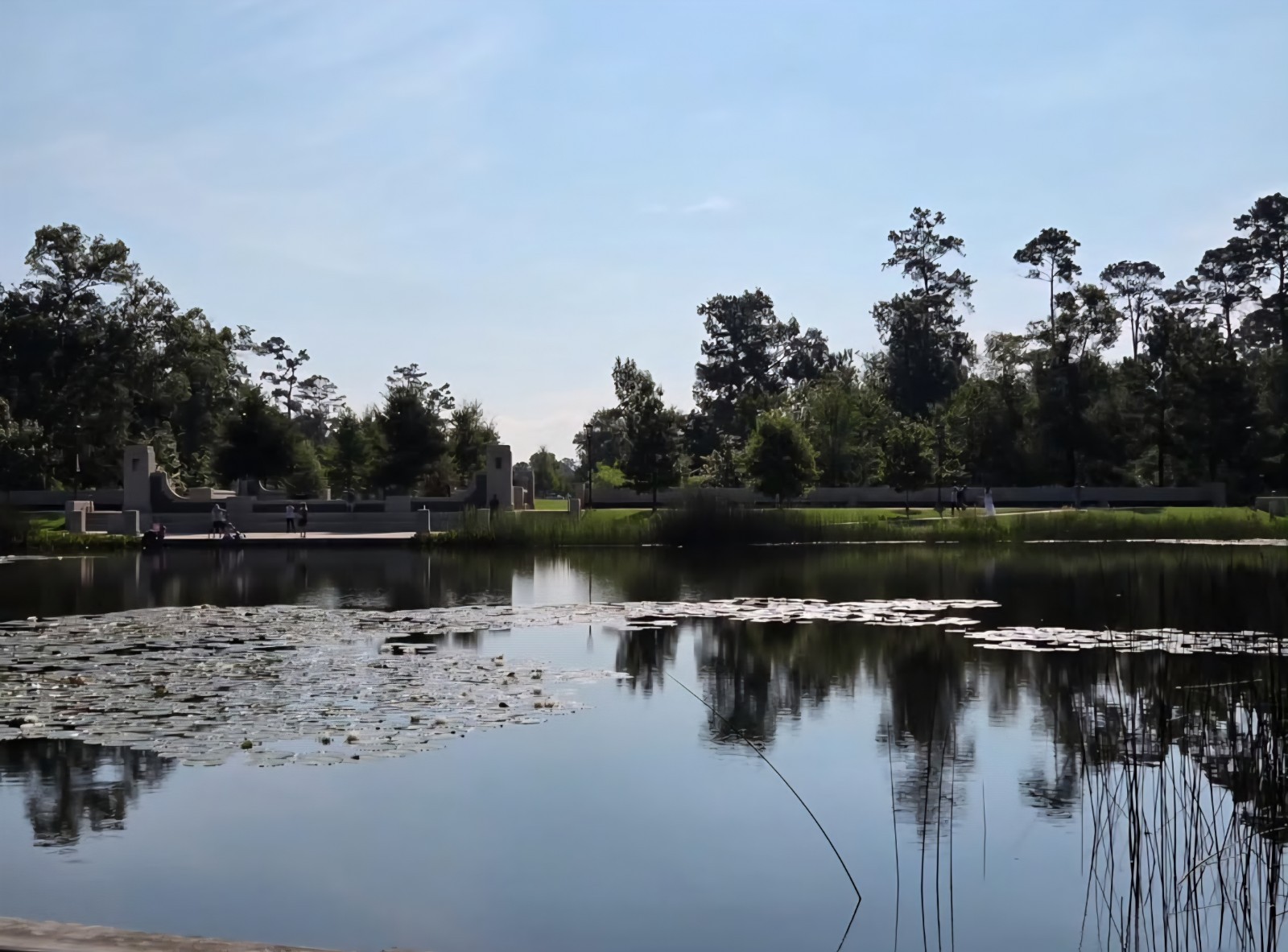 Digital Image Photo Wallpaper Background Desktop Summer Pond! Only 0.99 Cent
