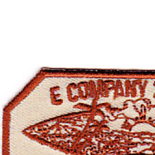 2nd Squadron 25th Aviation Regiment E Company Patch