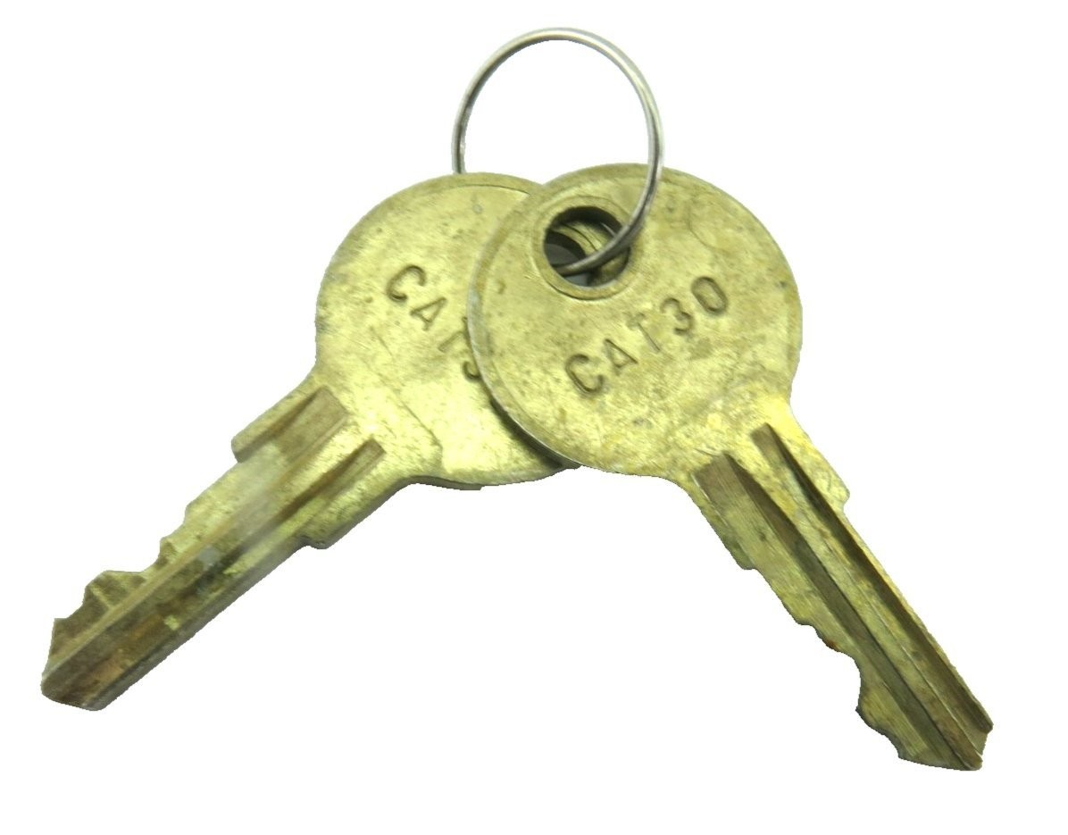 Set of 2 Edwards CAT30 Style Fire Alarm Panel Pull Station Control Brass Keys