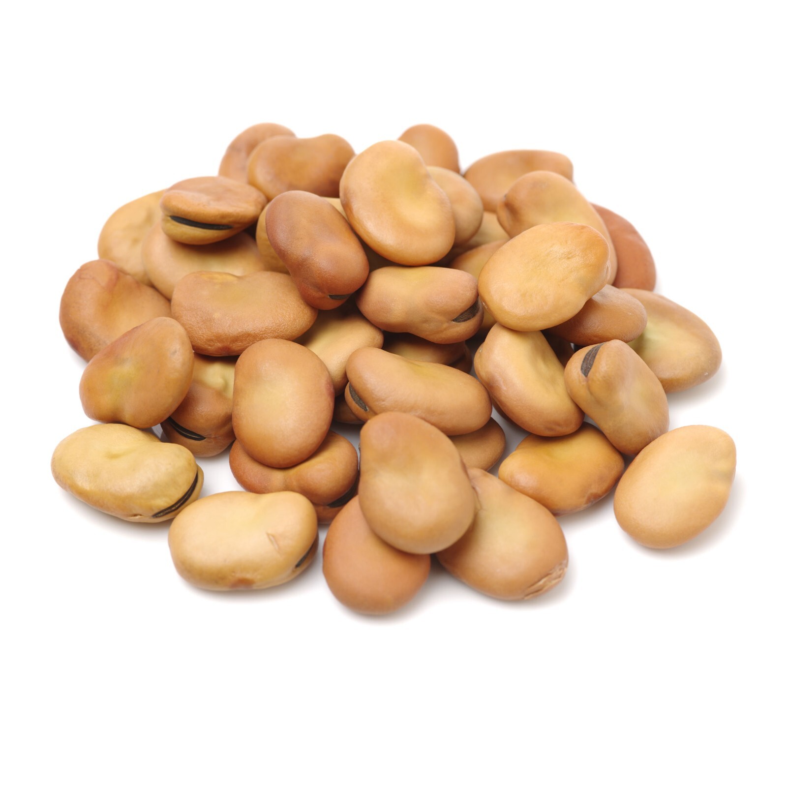 Wishing Beans (1 oz) - NEW Ritual Supply Herb Curio Mojo Beans