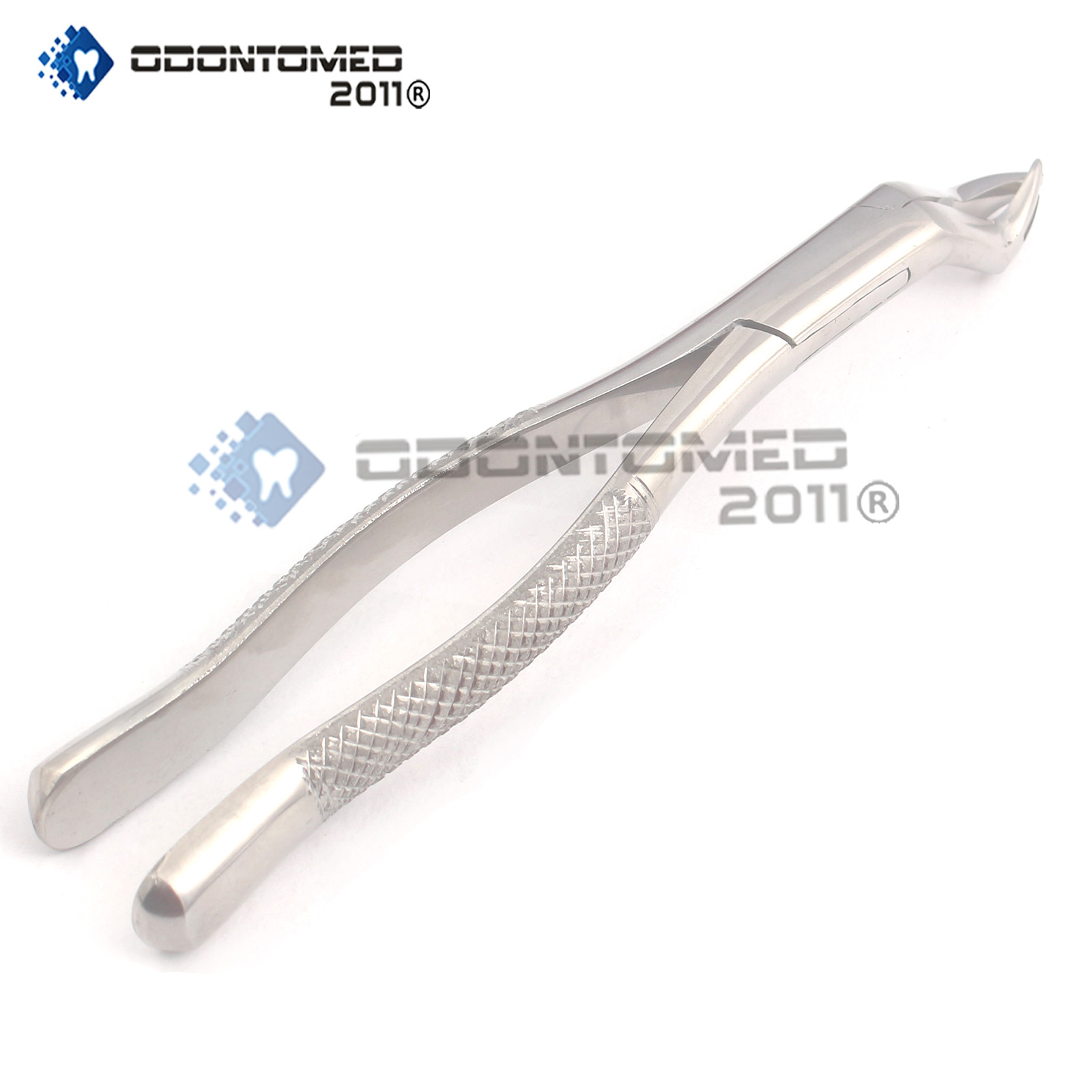 Dental Extracting Forcep 88r Molar Tooth Extraction Surgical Instruments