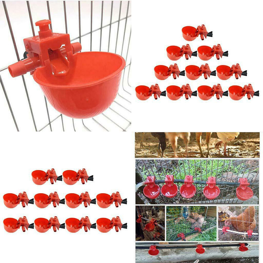 10/20PC Poultry Water Drinking Cups Chicken Hen Plastic Automatic Drinker Quail