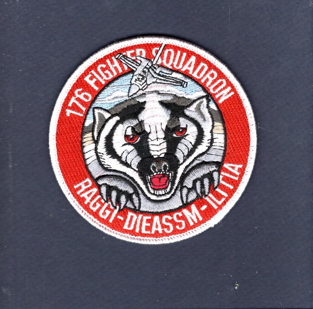 Original 176th FS Badger Air Militia WI ANG USAF F-16 FALCON Squadron Patch +V