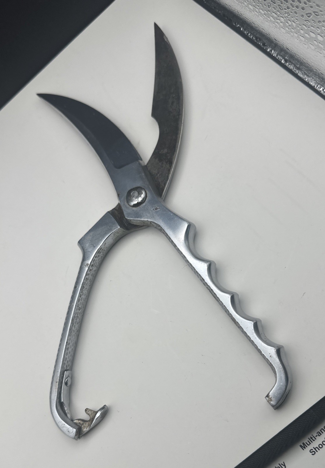 Thurnauer Poultry/Meat Shears Chrome Italy-Read