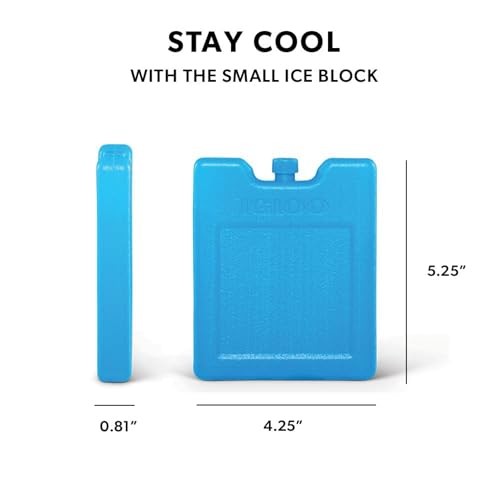 Maxcold Ice Block 2PK Small