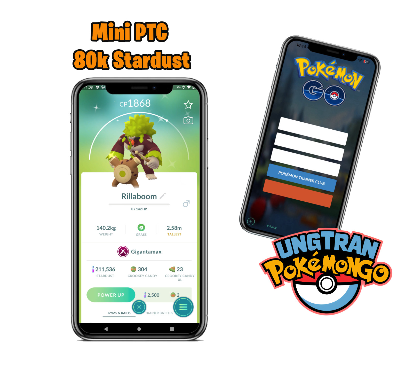 ✨ Shiny Gigantamax Rillaboom |Tr—de 20K Dust | P—T—C