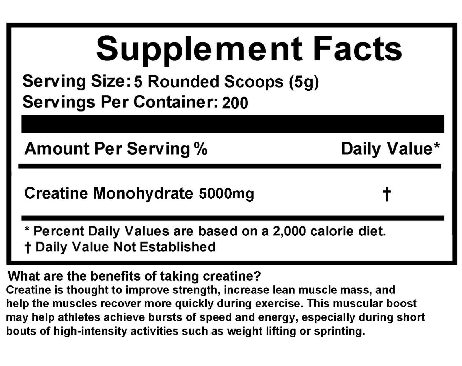 BUNDLE MICRONIZED CREATINE Monohydrate Powder Supplement Bundle Pack