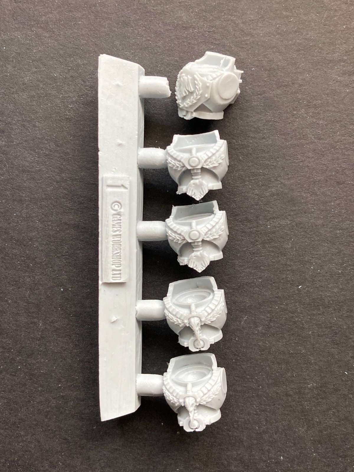 RAVEN GUARD torsos