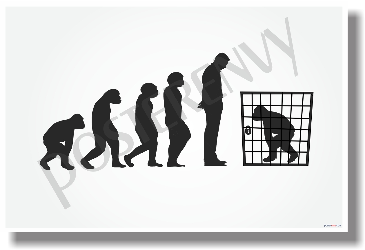 Cage Evolution - NEW Funny Humor Joke Darwin POSTER