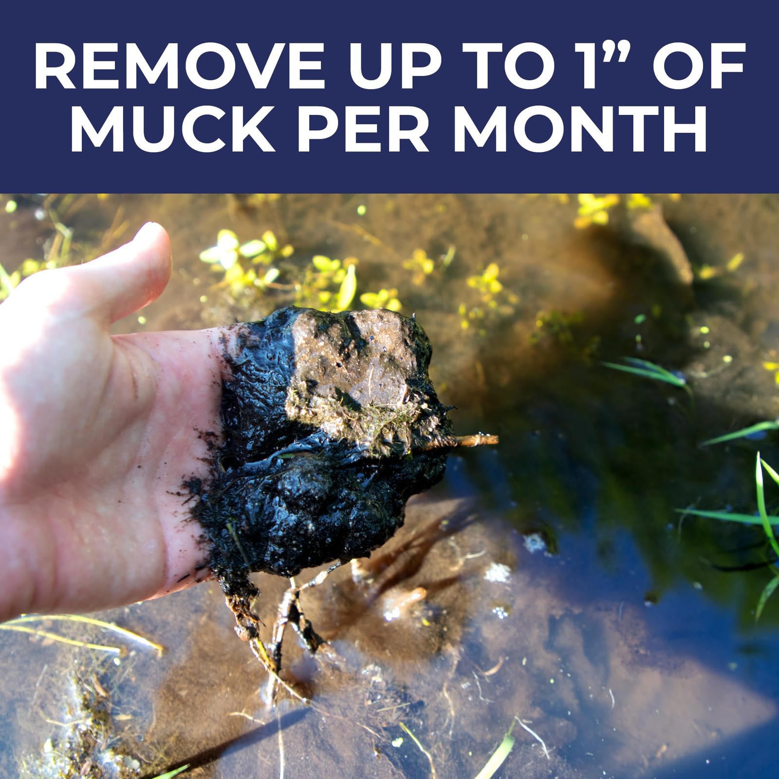 Ultimate Muck Reducer, Large Pond & Lake Beneficial Bacteria Treatment, Natur...