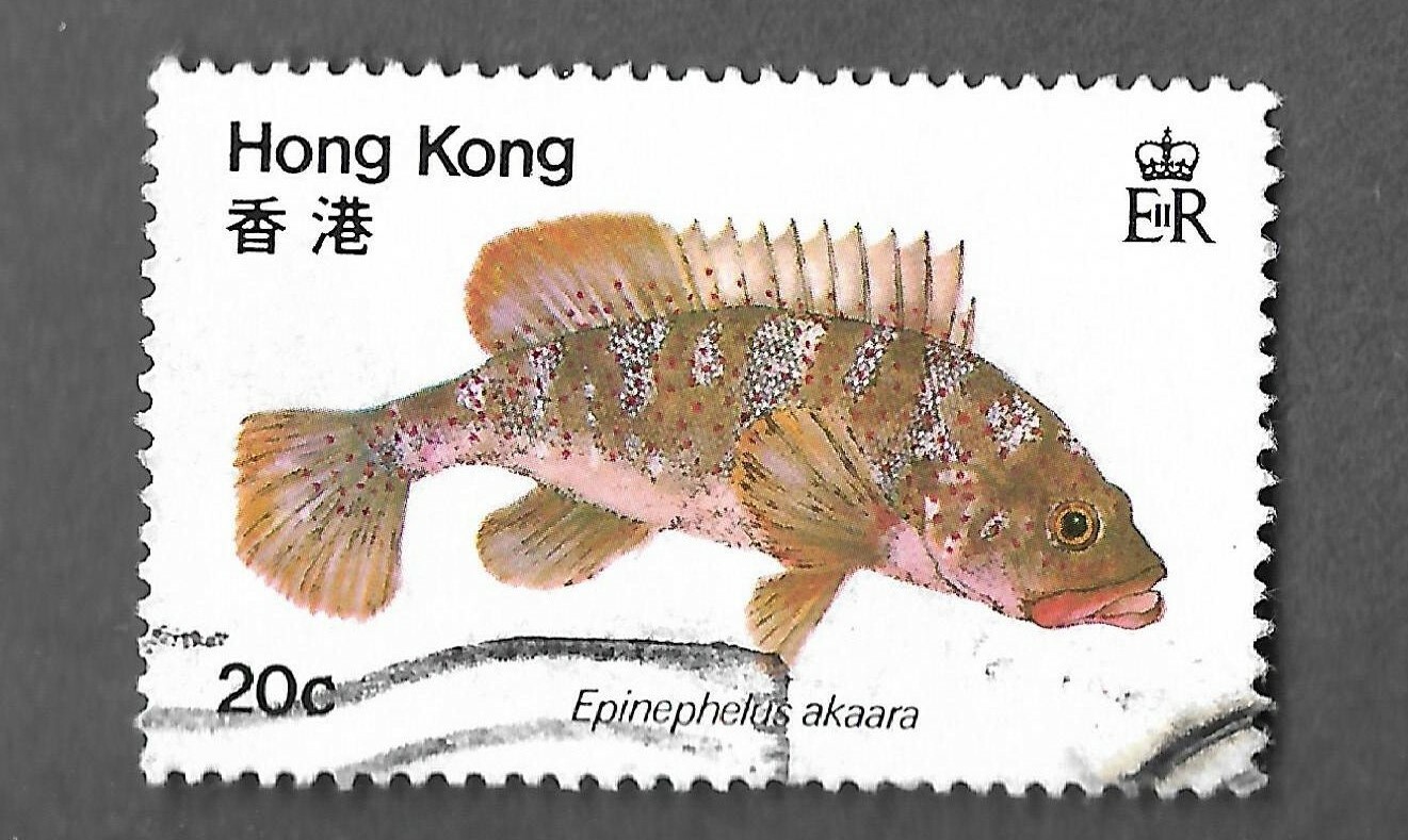 FISH POSTAGE STAMP FROM HONG KONG