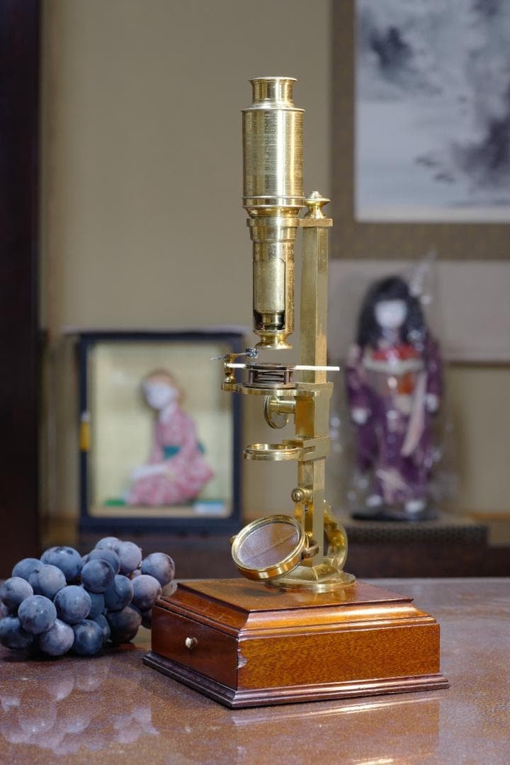 microscope antique John Richardson's cuff microscope