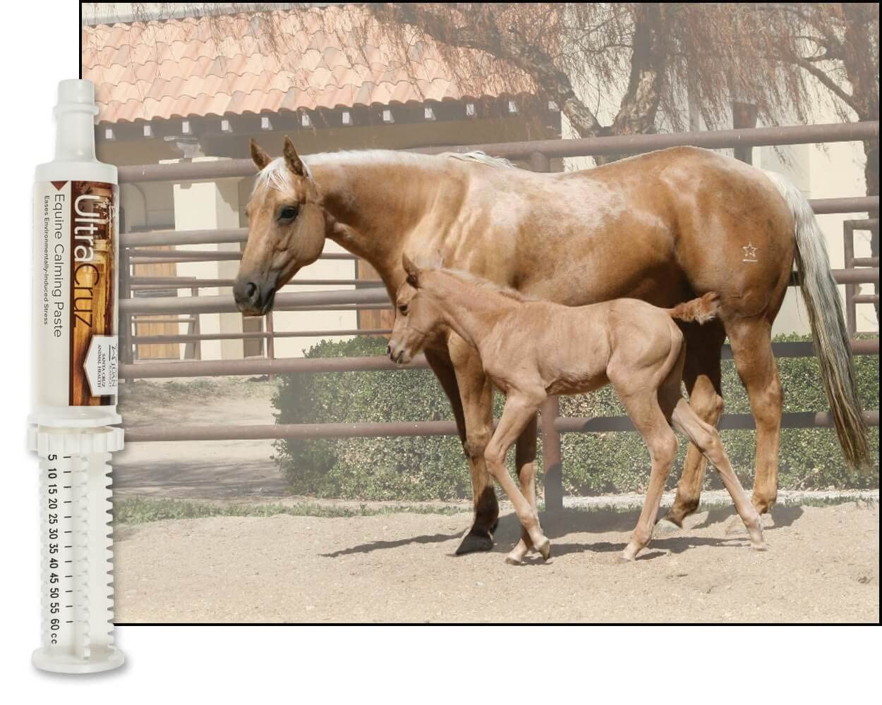 Equine Calming Supplement for Horses, 60 Ml, Paste