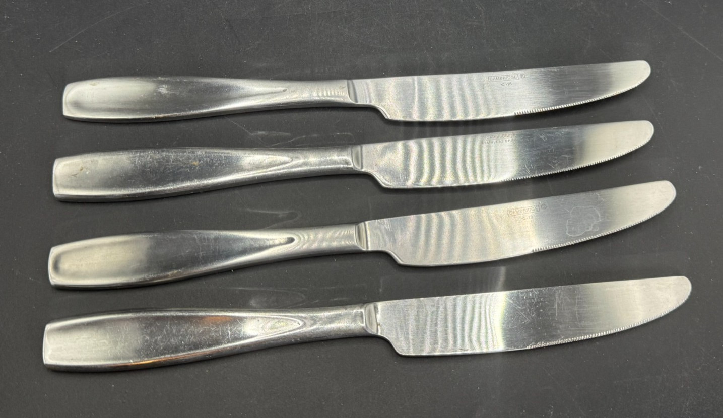 4 Aspen by Cambridge 9 1/2" New French Solid Knives Flatware Stainless China