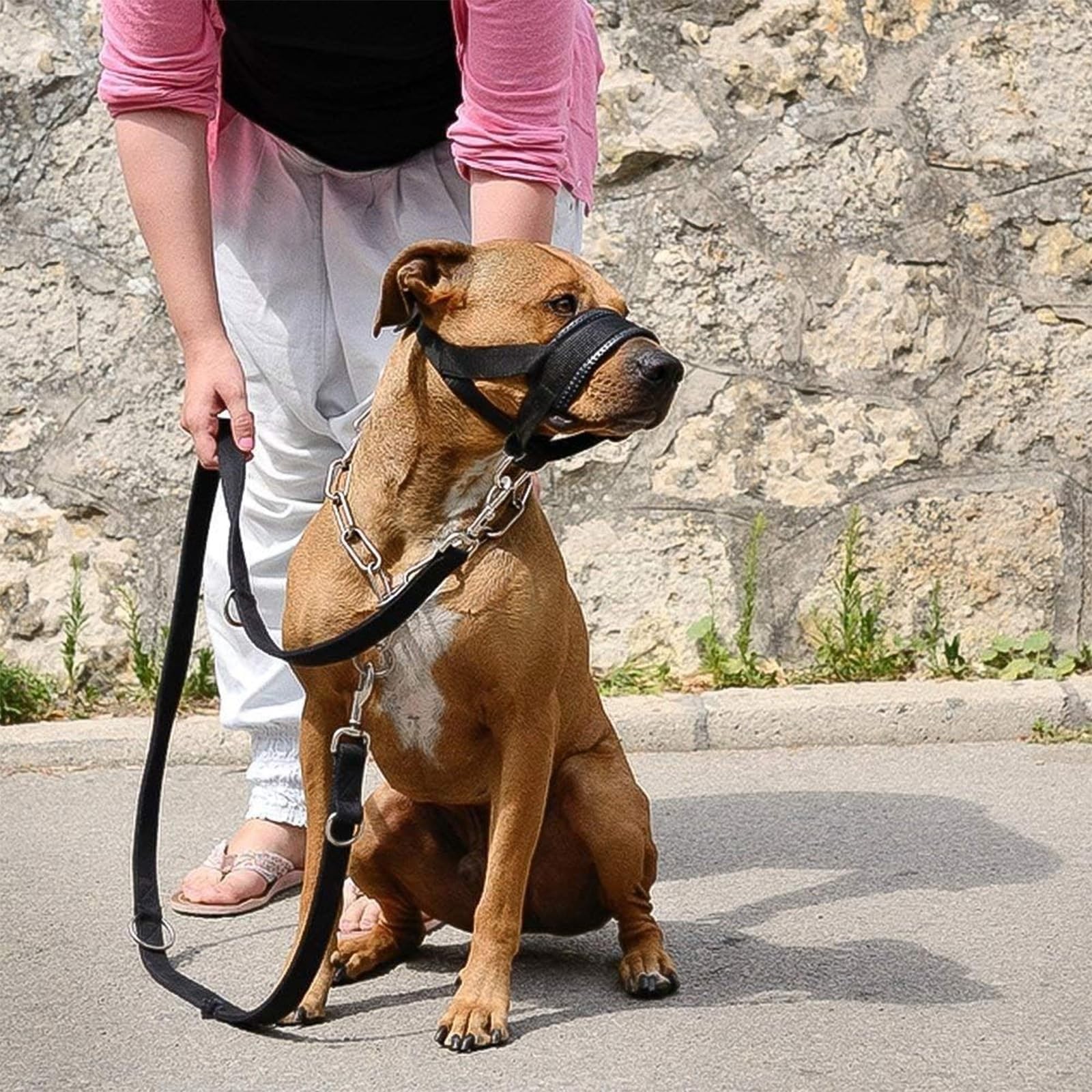 Nylon Dog Muzzle for SmallMediumLarge Dogs Prevent from BitingBarking and Che...