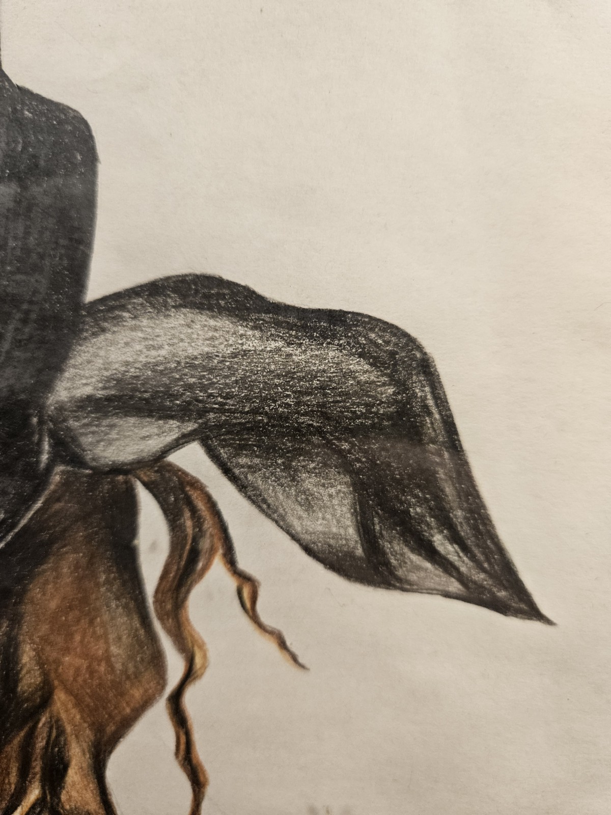 STRIKING EXPRESSIVE FEMALE PROFILE ORIGINAL MIXED MEDIA FIGURATIVE DRAWING
