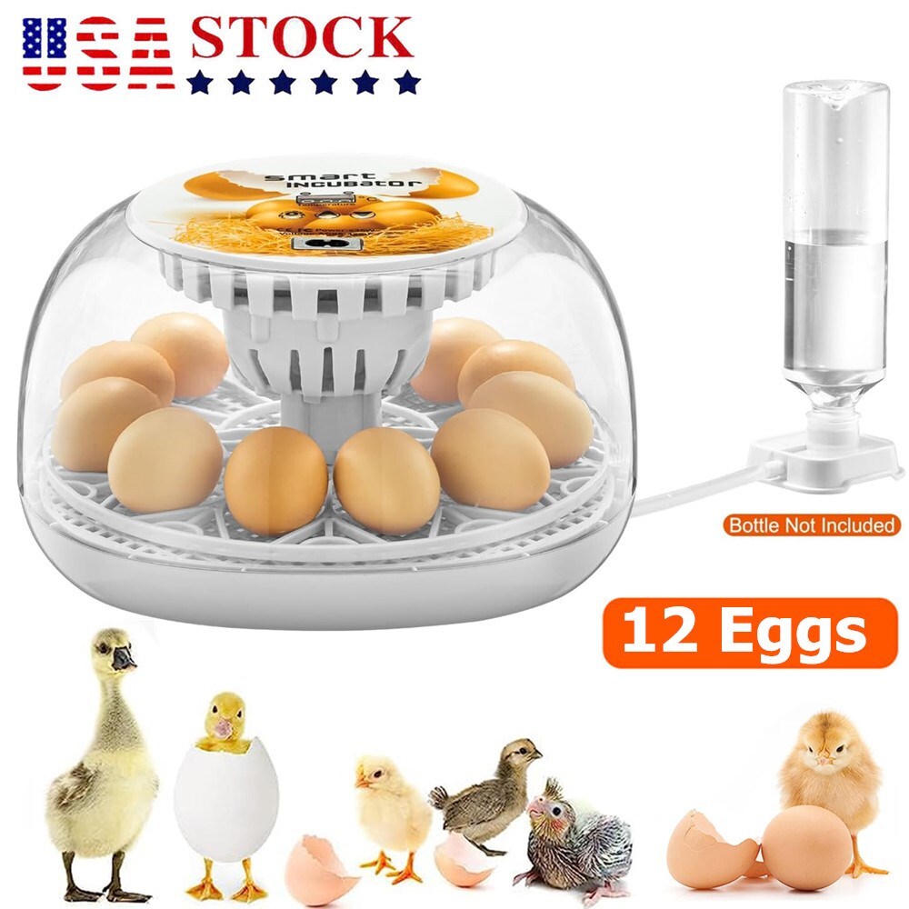 12 Egg Incubator for Hatching Eggs with Automatic Egg Turning Temperature