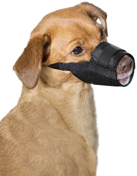 Premier Pet Dog Muzzle Safe & Effective Size Medium NEW