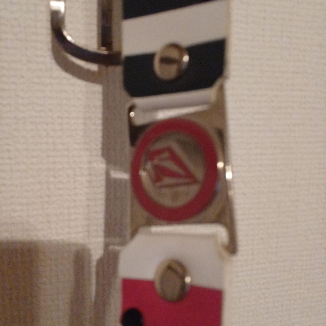Volcom Striped Design Belt