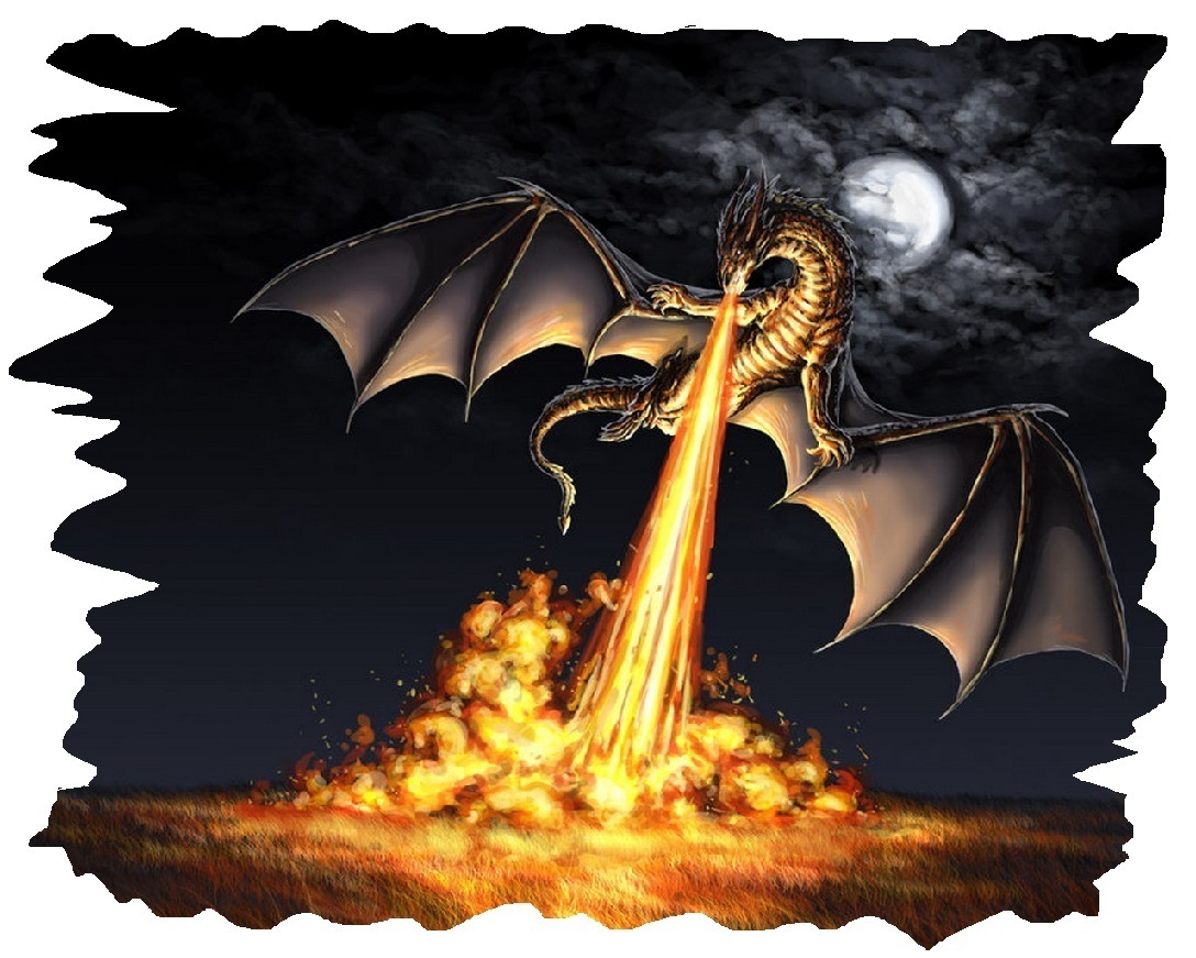 Dragons # 12 - 8 x 10 Tee Shirt Iron On Transfer