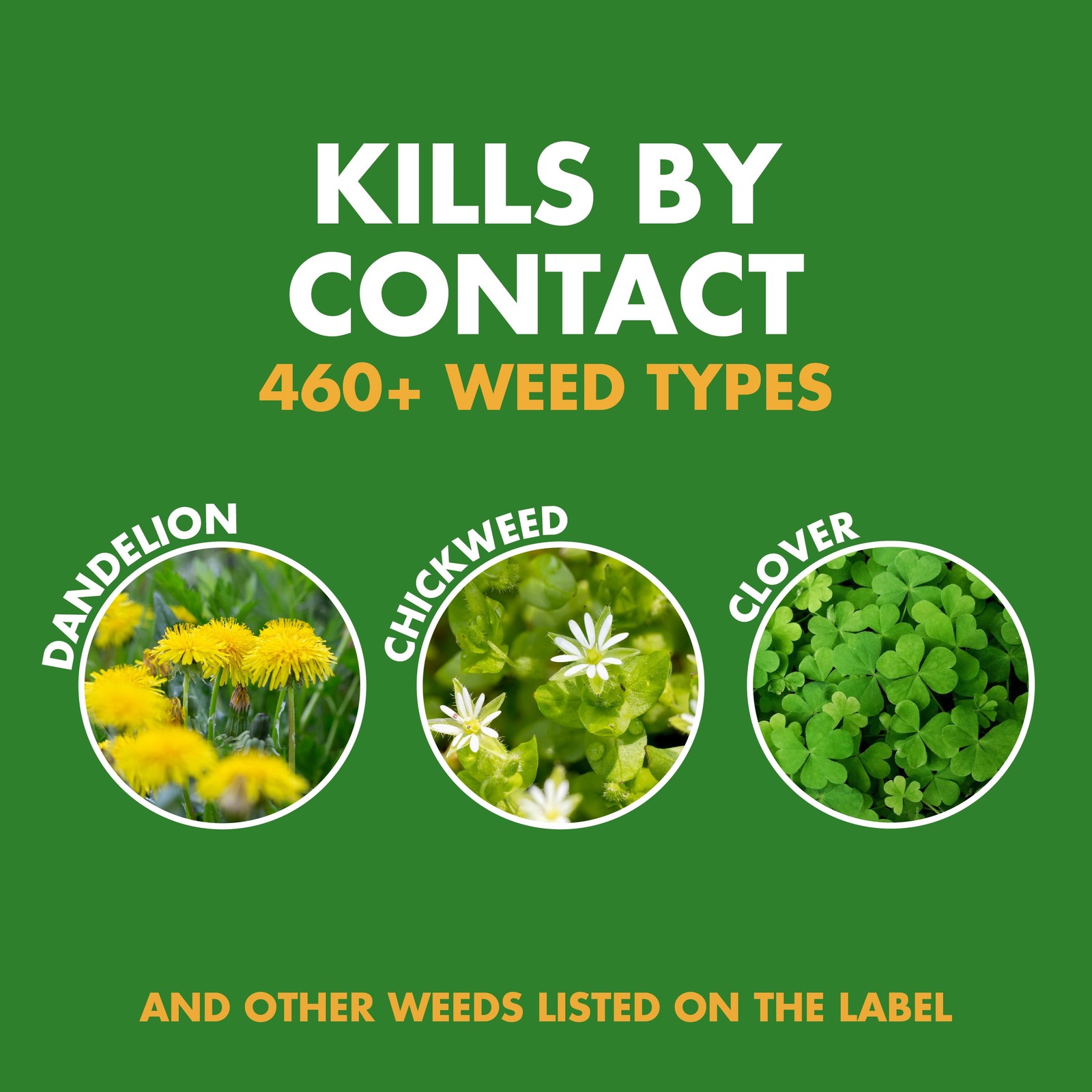 (2 pack) Weed Stop for Lawns Concentrate, Kills Listed Broadleaf Weeds, 32Ounces