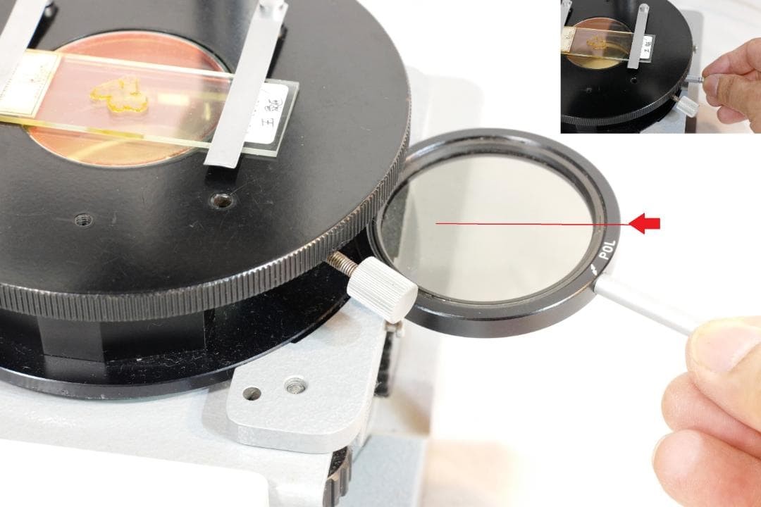 microscope antique collectible Leitz's "Elber" Stereo Polarizing Microscope