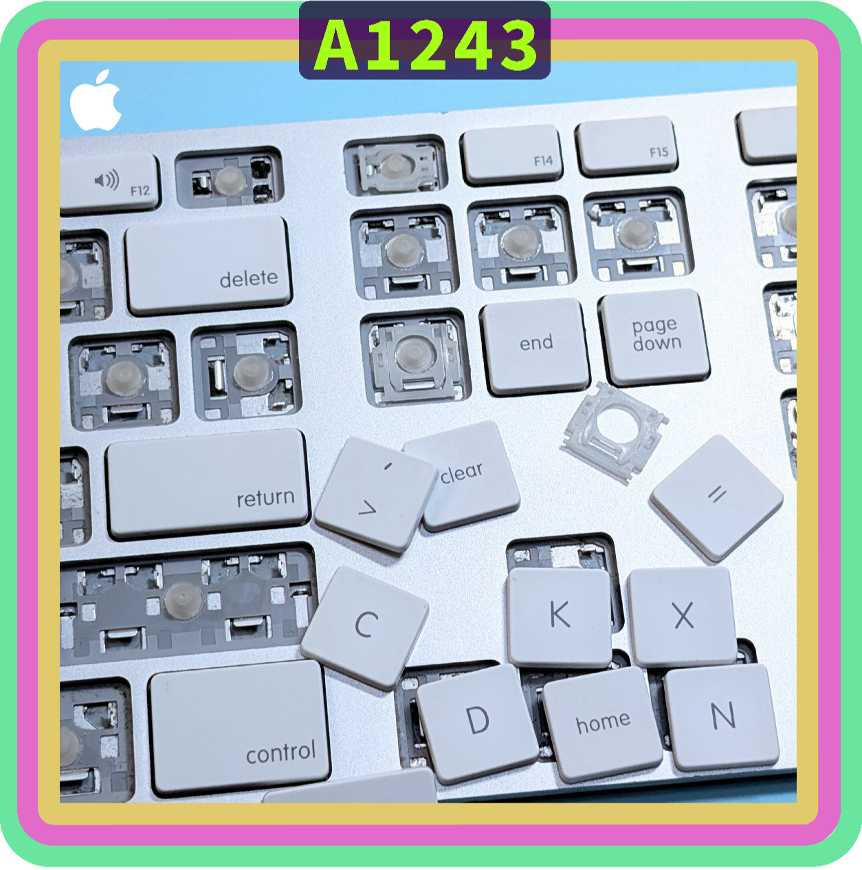 🍏Replacement KEYS Apple Wired Keyboard A1243 Individual Key Cap + Hinge Switch