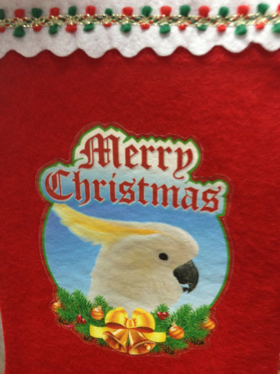 SALE!  Greater Sulphur Crested Cockatoo Parrot Exotic Bird Christmas Stocking