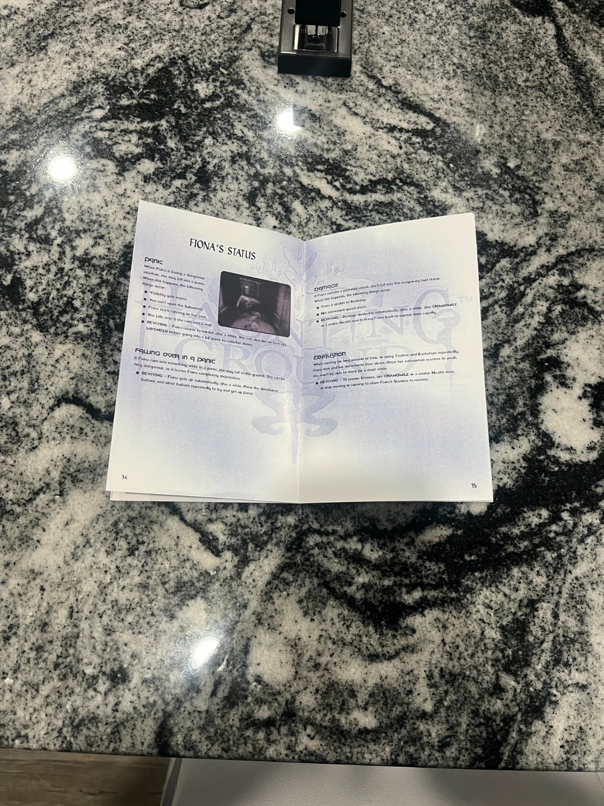 Replacement Manual for Haunting Ground - Sony PS2 Instruction Booklet