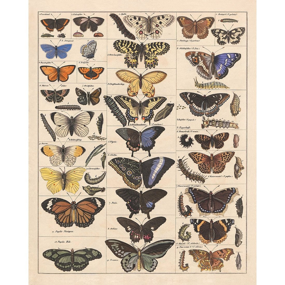 Meishe Art Poster Print Vintage Butterflies 15.75''x19.69'', Yellow