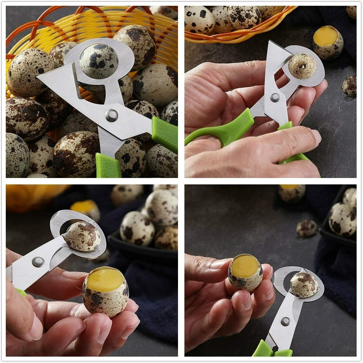 Stainless Steel Quail Egg Scissors Eggshell Opening Divider Scissors Lot