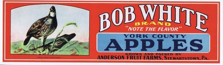 Bob White, York County Apples, Anderson, Stewartstown PA Fruit Crate Label
