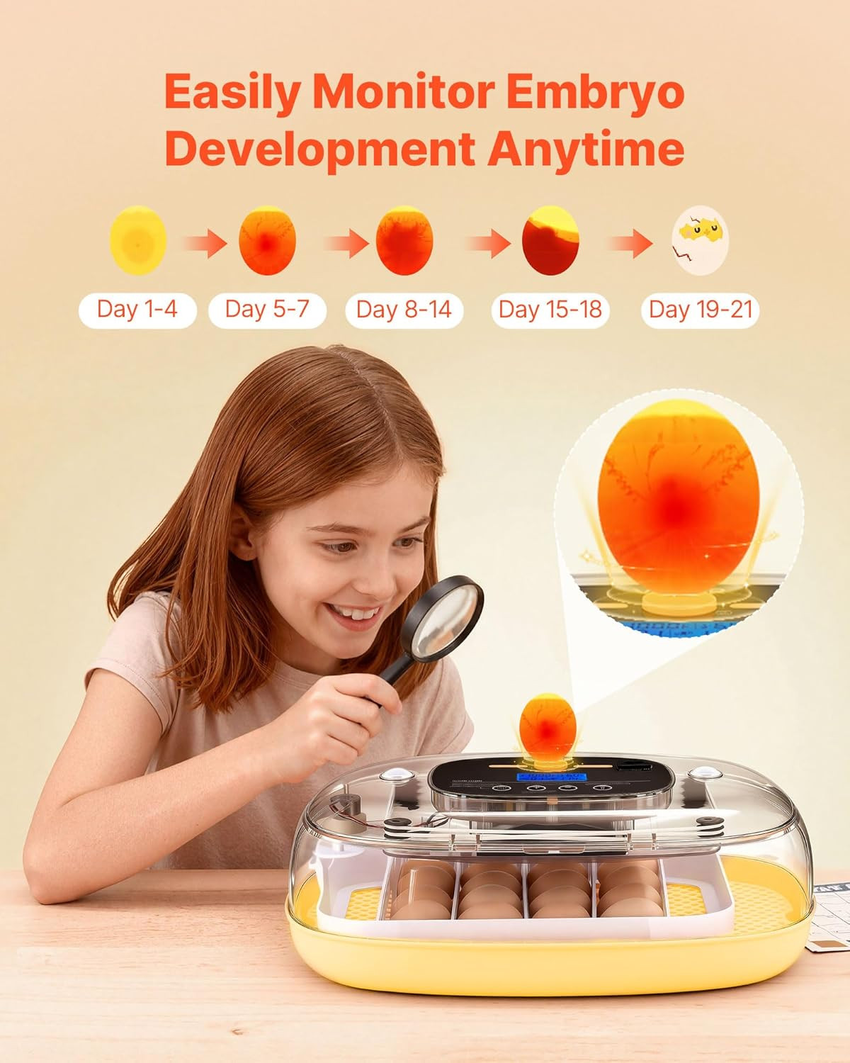 24 Egg Incubator, Automatic Egg Turner with LED Candler, Temperature & Humidity