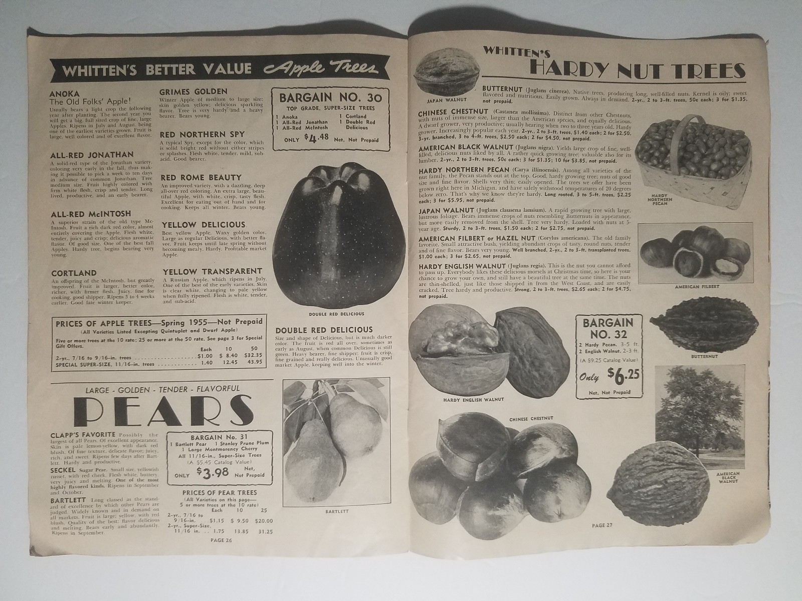 1955 Whitten Nurseries Catalog