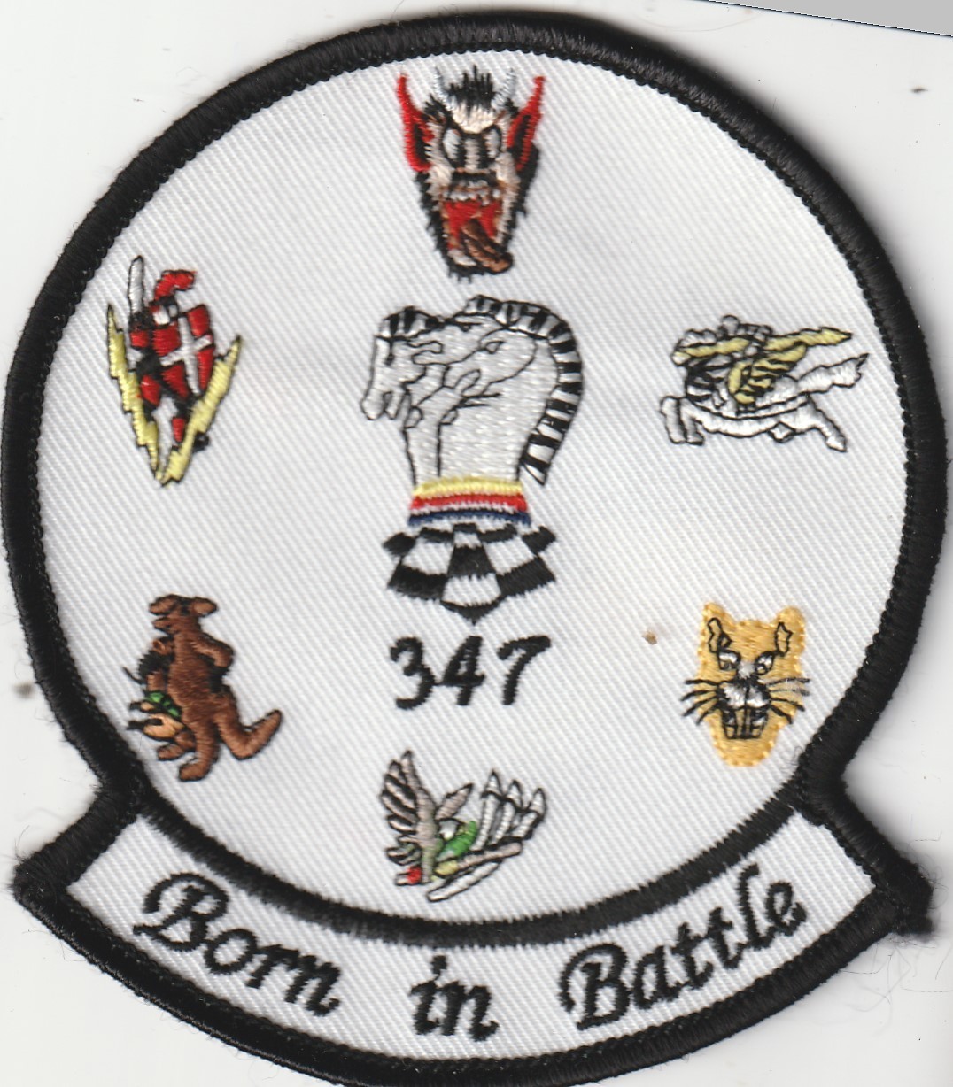 USAF air force 347th Wing Moody AFB Georgia Gaggle patch 3