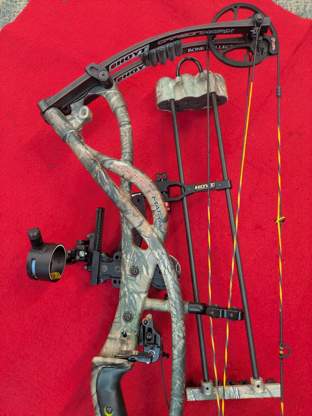 Hoyt Carbon Matrix Compound Bow
