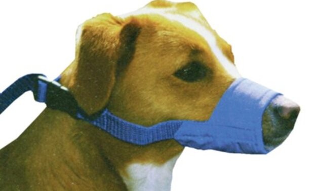 Four Flags Over Aspen Nylon Quick Muzzle The Original for Dogs XXSmall