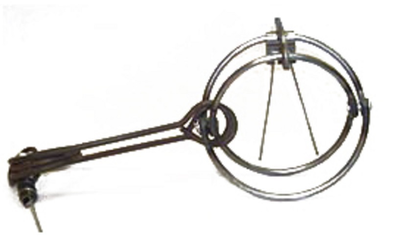 RBG 3.5 INCH ROUND BODY GRIP TRAP BEST FOR SQUIRRELS