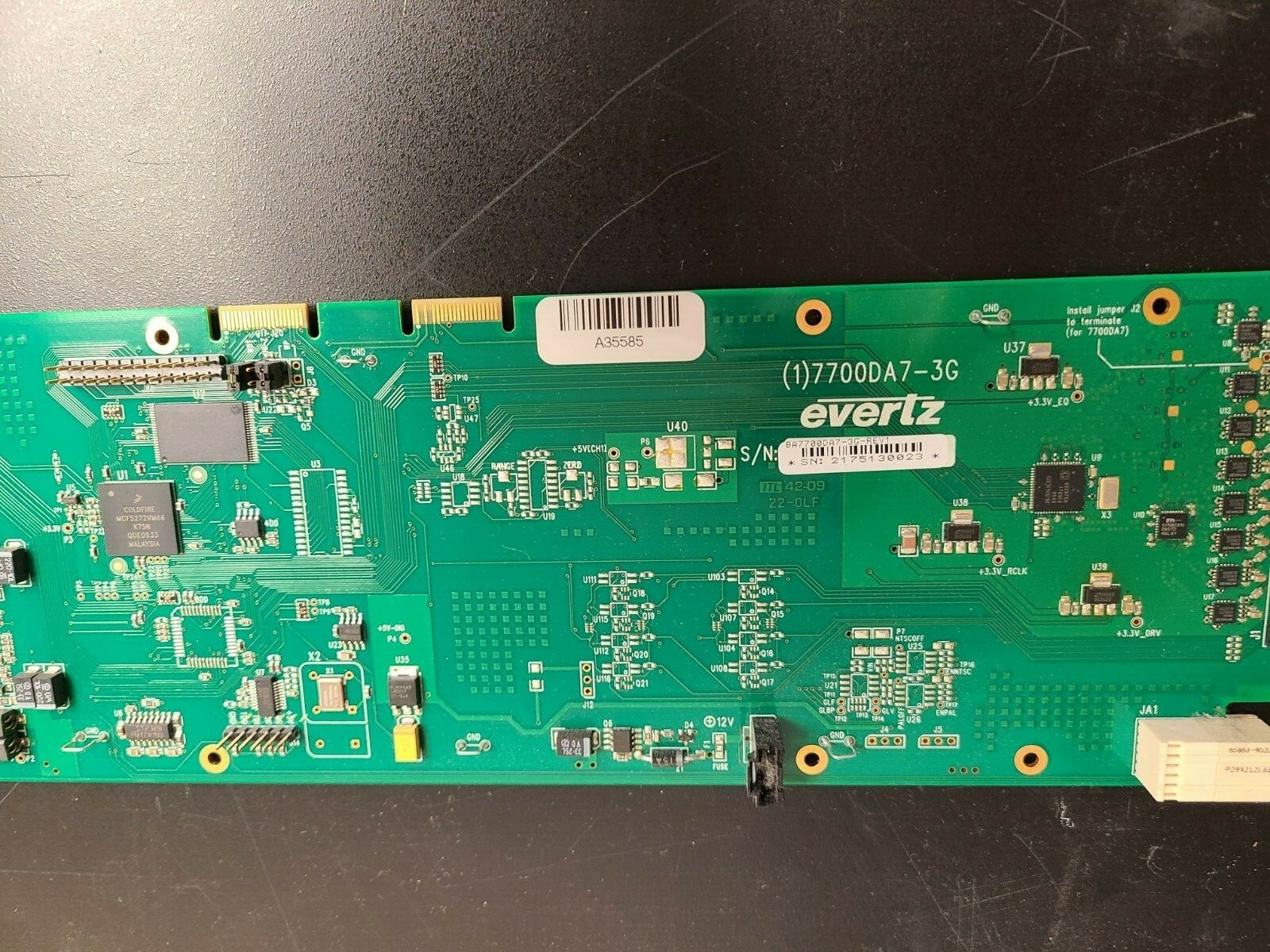 Evertz 7700DA7-3G 3G/HD/SD-SDI Reclocking Distribution Amplifier+ backplane revA