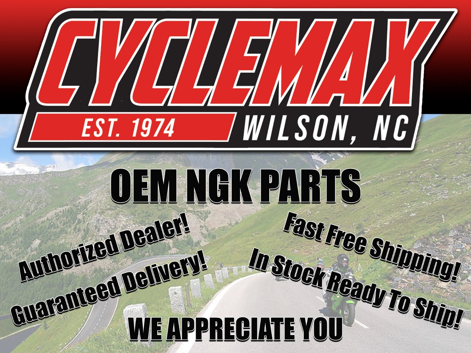NGK Genuine OEM Authentic Spark Plugs SILMAR9A9S - 2 PACK