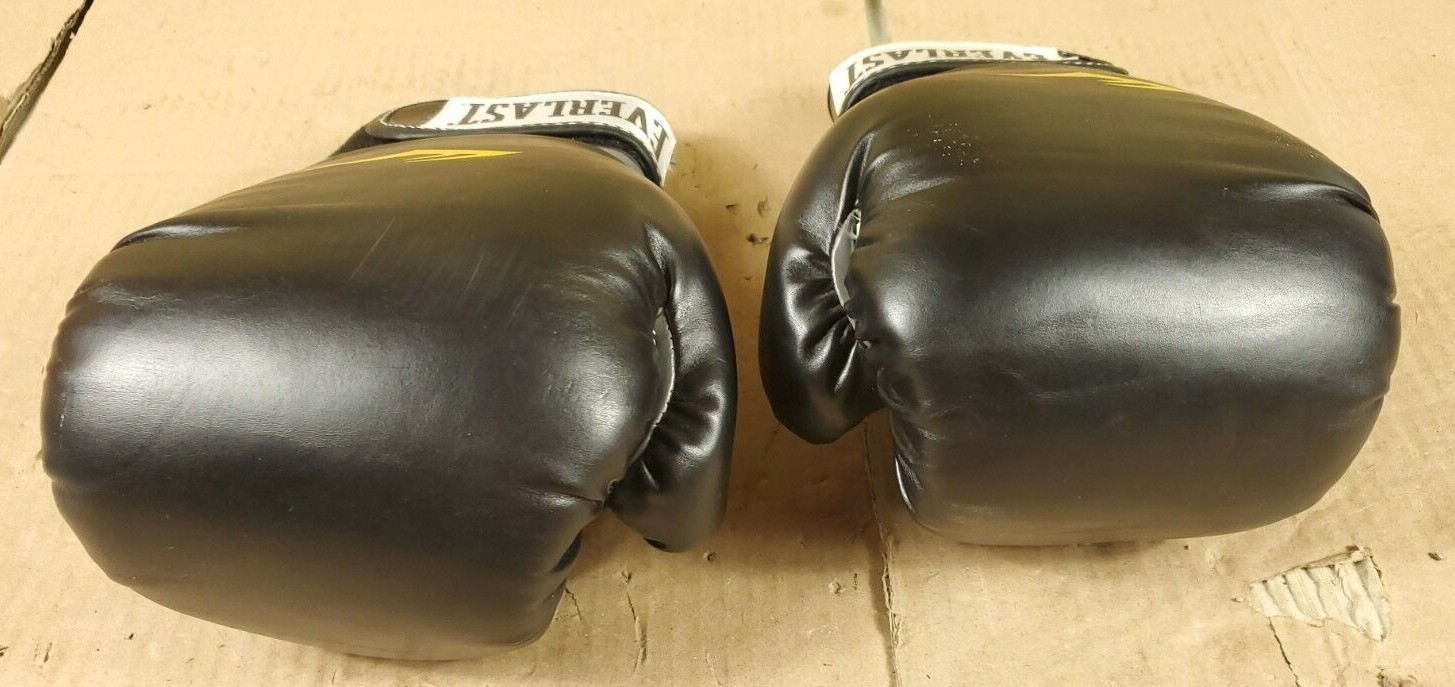 Everlast Black 14 Oz. hook & loop Boxing Training Sparring Gloves New No Package