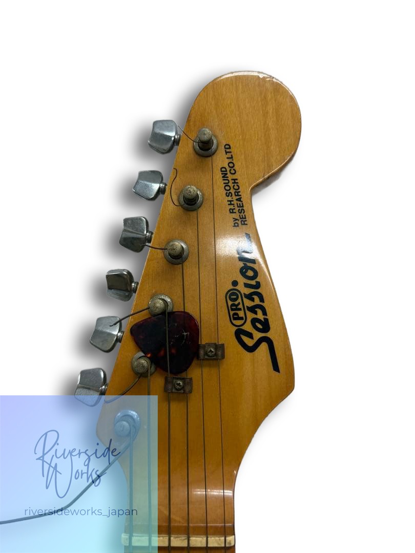 Limited Offer ProSession Stratocaster Electric Guitar
