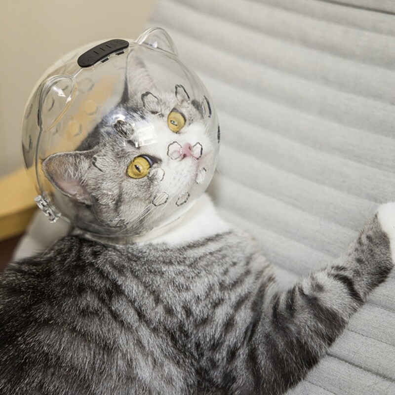 Cat Muzzles Breathable Transparent Muzzle Grooming Mask Astronaut Helmet