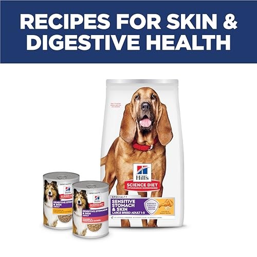 Hill's Science Diet Sensitive Stomach & Sensitive Skin Large Breed Adult Dry Dog