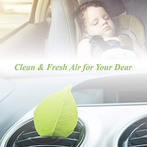 3 Pack FD285 Cabin Air Filter for