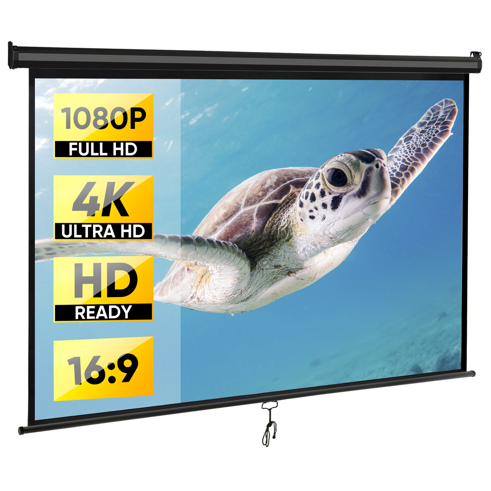 Outdoor Projector Screen Pull Down 80" 16:9 HD Ceiling Projection Screen Black