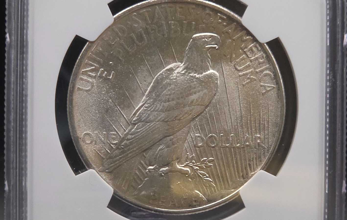 1925 Peace Dollar NGC MS64 – Bright White Luster, Clean Fields, Certified