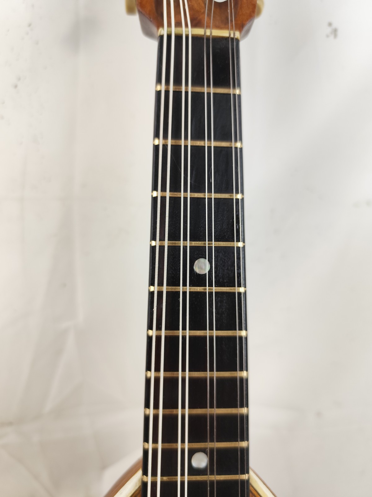 Mandolin 4/4 Felice Cavallacci E Son 1900 Naples 曼陀林 만돌린マンドリン